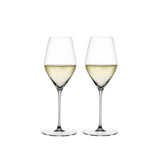 Hi-Lite Champagne Glass