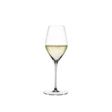 Hi-Lite Champagne Glass
