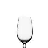 Festival Pilsner Tulip