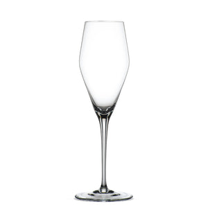 Hybrid Champagne Glasses