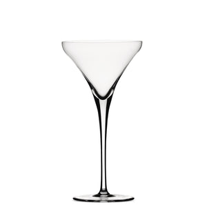 Willsberger Anniversary Martini Glasses